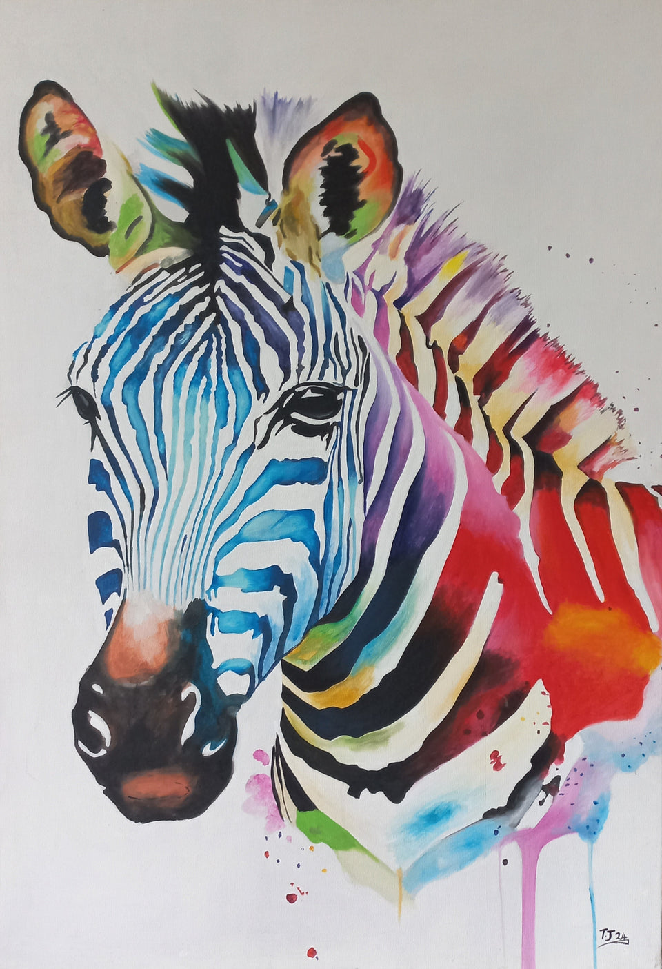 Zebra